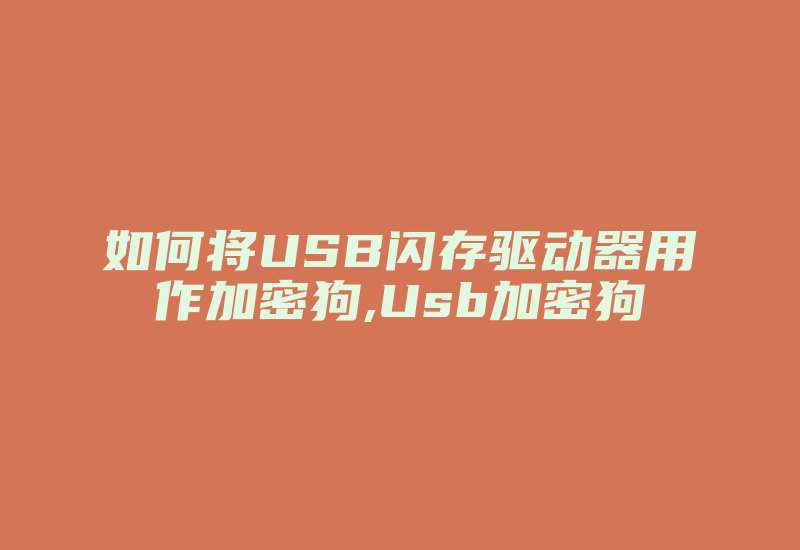 如何将USB闪存驱动器用作加密狗,Usb加密狗-单片机解密网