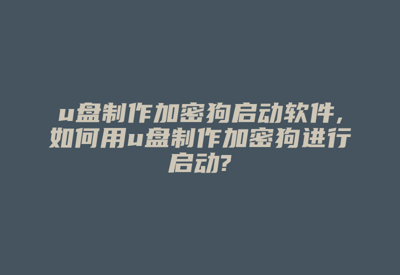 u盘制作加密狗启动软件,如何用u盘制作加密狗进行启动?-单片机解密网