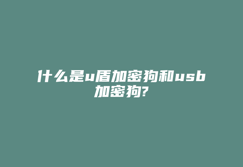 什么是u盾加密狗和usb加密狗?-单片机解密网