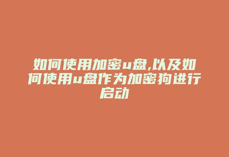 如何使用加密u盘,以及如何使用u盘作为加密狗进行启动-单片机解密网