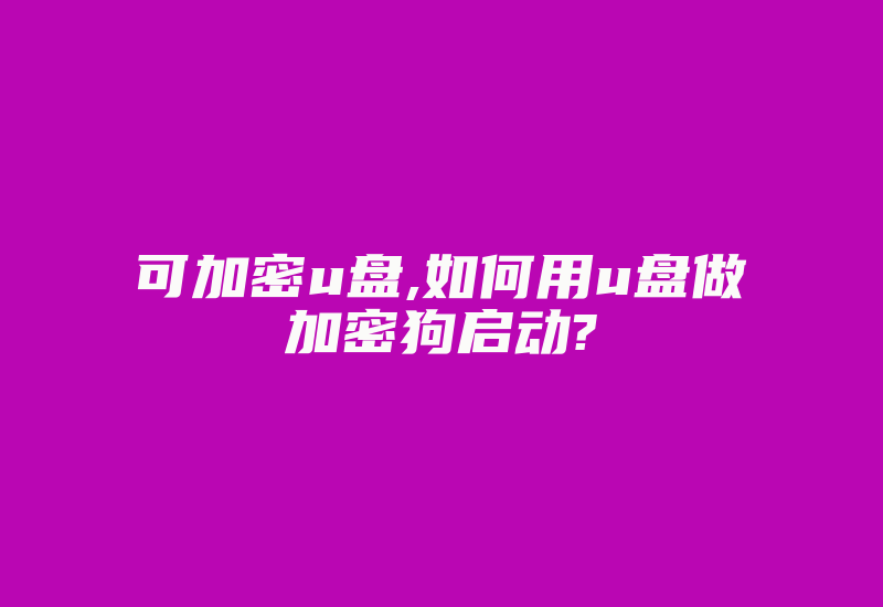 可加密u盘,如何用u盘做加密狗启动?-单片机解密网