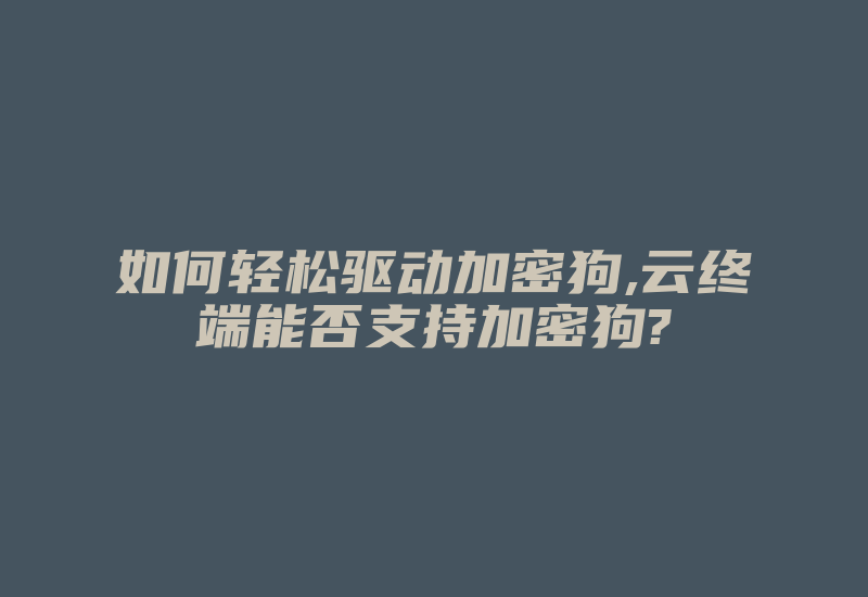 如何轻松驱动加密狗,云终端能否支持加密狗?-单片机解密网