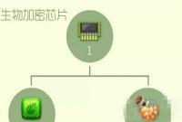 什么是加密方法,什么是加密方法?-单片机解密网