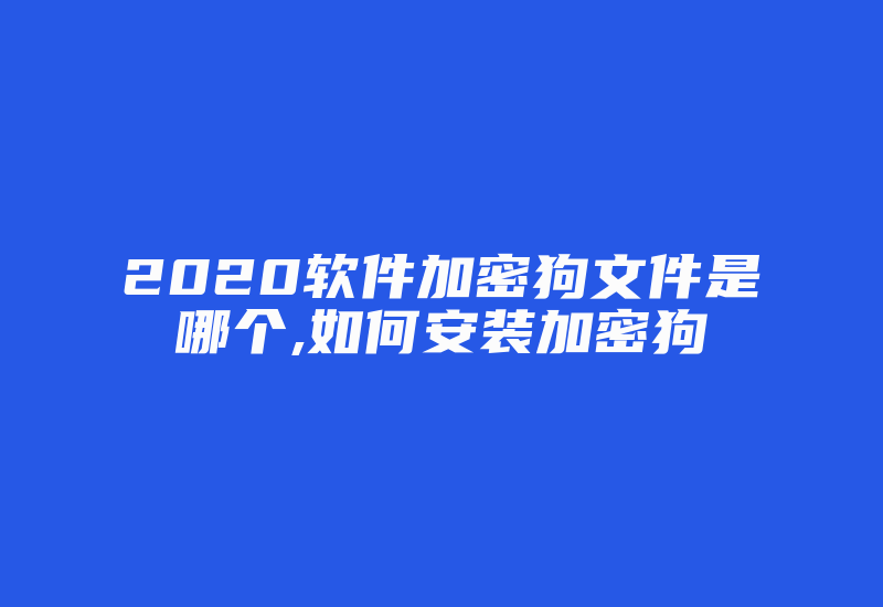 2020软件加密狗文件是哪个,如何安装加密狗-单片机解密网